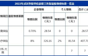 职工医保档次缴费标准 武汉 事业单位交多少钱