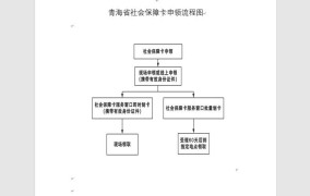 社保卡照片上传流程图怎么弄的啊怎么操作的呢