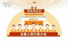 村委会在中国人民代表大会制度中扮演什么角色？