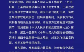 陕西的家暴禁令具体内容是什么？有何影响？