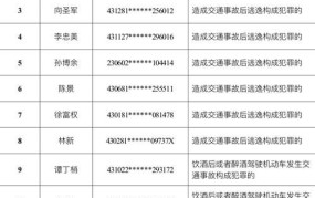 肇事逃逸的认定标准2024最新版是什么意思啊