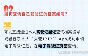 如何查询驾驶本信息？有哪些途径？