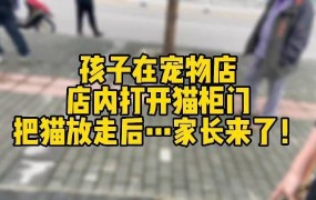 男孩放跑客人寄存的猫，该如何承担责任？