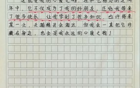 参加与参与的区别 精选作文800字怎么写的