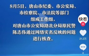 陈某志10年参与刑事犯罪11起，哪些罪行会被追究？