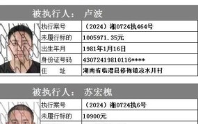 如何查询全国失信人员被执行人名单？