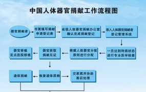 器官捐献流程是怎样的？需要注意什么？