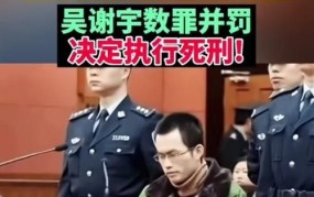 吴谢宇弑母案开庭宣判：直播回顾与案例分析