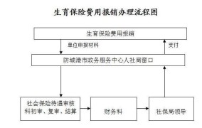 生育医疗和生育保险有什么区别呢怎么报销的啊