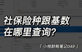 如何查询社保缴纳情况？有哪些便捷途径？