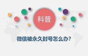 陌陌账号被重度封号，还有可能解封吗？怎么做？