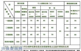 医保300起付标准什么意思啊怎么报销的呢