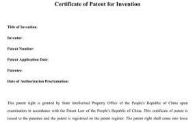 标准必要专利名词解释是什么意思呀英文翻译