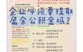 盈余公积是什么？在财务报表中如何体现？