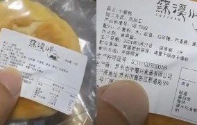 过期食品处罚标准2024年新规定是什么意思啊