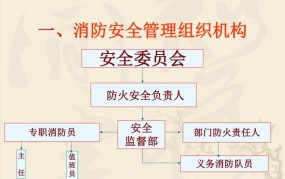 如何确保资料安全？有哪些实用技巧？