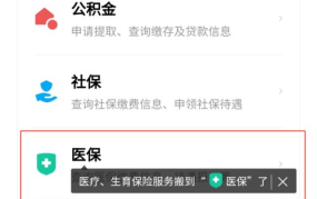 如何查询医疗保险缴费记录？查询步骤是怎样的？