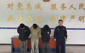 男子盗搬被刑拘，如何理解此案件的法律依据？