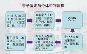 司法亲子鉴定流程详细步骤是怎样的？图解如何获取？