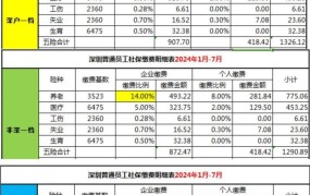 深圳社保查询明细可以通过哪些途径进行？