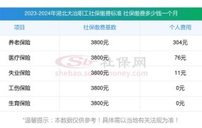 2025年社保缴费标准提高了吗？如何计算个人缴费金额？