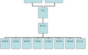 什么是理事会组织？有什么职能作用？