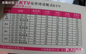 KTV收费价格参考表哪里有？价格范围大致是多少？