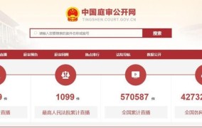 中国庭审公开网怎么使用？有哪些功能？