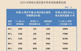 养老保险2024年缴费标准如何？如何确保养老金充足？