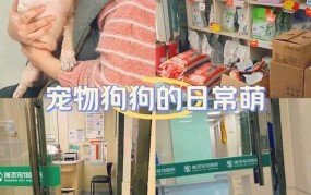 经营宠物护理店如何提升服务质量与盈利？