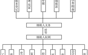 企业避税与反避税措施有哪些？如何合规操作？