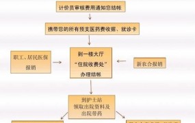 恩度医保报销流程是怎样的？需要准备哪些材料？