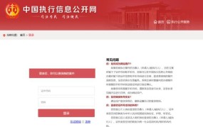 中国执行信息公开网官网地址是什么？有哪些功能？