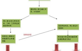 职业病鉴定流程详解图解大全如何获取？需要注意哪些问题？