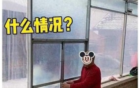 没有对象犯法吗：没有结婚对象是否违法？法律上有何规定？