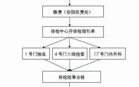 预约办理健康证的流程图怎么查看？哪些关键点要注意？