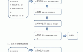 员工社保怎么办理？企业社保代缴要注意什么？