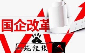 国企和民企哪个发展前景更好？各有哪些优势和不足？