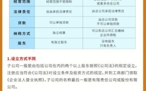 公司法人和法人代表的区别和责任是什么意思啊