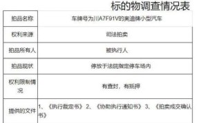 法院执行拍卖流程以及规则最新消息查询结果