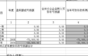 企业所得税弥补亏损明细表如何正确填写？有哪些要点？