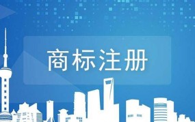 注册商标后在哪里查询状态？查询流程是怎样的？