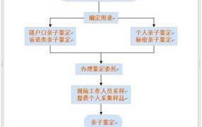 亲子鉴定标准费用是多少？有哪些鉴定方法和流程？