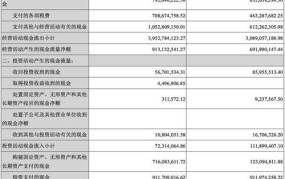 非流动资产包括哪些？在财务报表中如何体现？