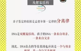 亲子鉴定原理是什么？准确率有多高？