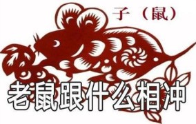 红花烂漫是什么动物属相打一动物动物属相经典解答落实