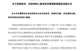 网贷非法占有罪立案标准最新规定是什么意思啊