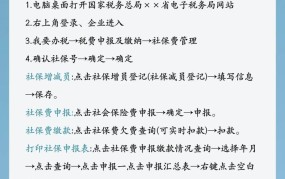 国税网上申报流程：如何进行国税网上申报？有哪些步骤和注意事项？