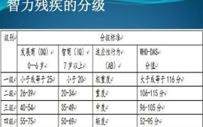 精神残疾级别的划分标准是什么意思啊怎么查询