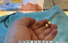 男子捡到戒指丢掉被判赔8千多？如何避免类似情况发生？